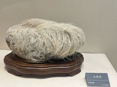 -安徽省地质博物馆