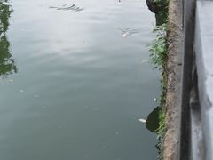 -苏州碑刻博物馆