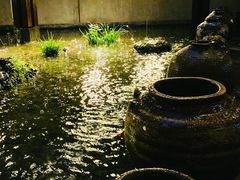 -几荷·恰似故人来(秀水广场店)