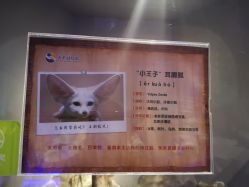 -未来动物城动物主题公园(大悦城店)