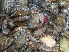 -浪琴湾尾角仔海鲜坊