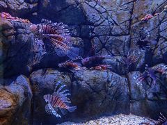 -成都浩海立方海洋公园