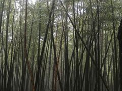 -达蓬山旅游度假区