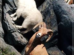 -贝林大翅鲸简餐厅(国家海洋博物馆店)