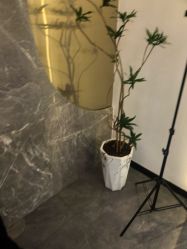 -苏奇发型·烫发染发