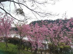 -福建鲤鱼洲酒店