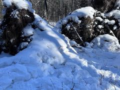 -峡谷浮石林景区