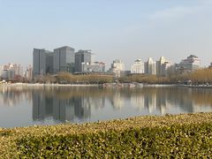-莲花池公园