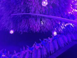 -格乐利雅婚礼艺术中心(浦东花木店)