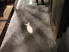 -龙门烤鱼(东方宝泰店)