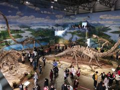 -自贡恐龙博物馆