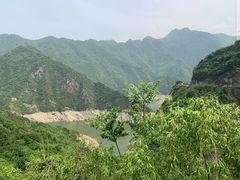 -黑河国家森林公园