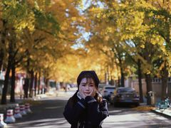 -三里屯东五街银杏大道