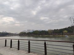 -昆山城市生态森林公园