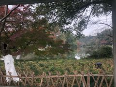 -西湖外事游船(花港观鱼码头)