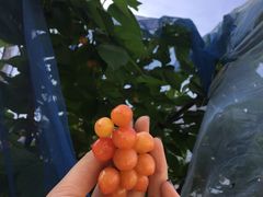 -江杨农产品批发市场