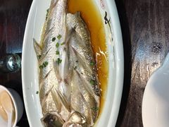 清真白水鱼-紅楼酒家(朱家角店)