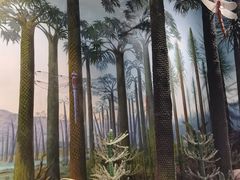 -湖南省地质博物馆