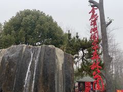 -合肥滨湖国家森林公园