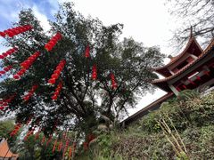 -深圳仙湖植物园