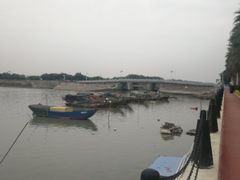 -大湾区中央湿地公园-十九涌