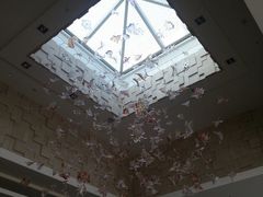 -南阳建业森林半岛假日酒店