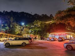 -鲤鱼塘农家山庄