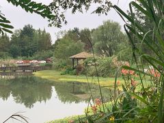 -桤木河湿地公园