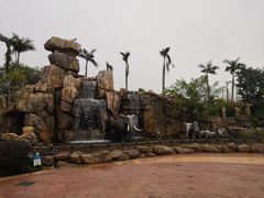 -美的鹭湖探索王国