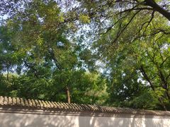 -玲珑塔公园