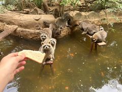 -长鹿旅游休博园