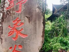 -野象谷景区