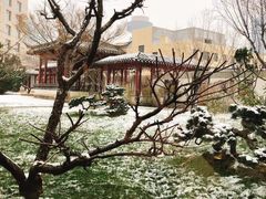 -九献创意菜·牛排馆(亮马河花园店)