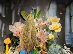 -酷嗒动物文化乐园(cutezoo西溪乐天城店)