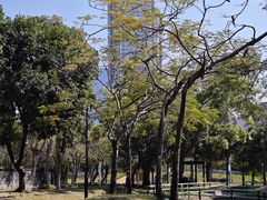 -九龙寨城公园