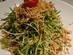 空心菜苗-打酱油·非遗淮扬菜(瘦西湖梅岭店)