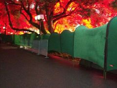 -印象西湖·最忆是杭州实景演出