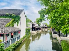 -鲁镇