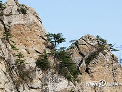 -王顺山国家森林公园