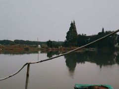 -水岸居湖景农家乐·阳澄湖大闸蟹