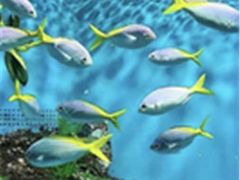 -多彩贵州城极地海洋世界