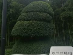 -苏州河梦清园环保主题公园