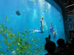 景观位-瑞德姆美人鱼海底演艺主题餐厅(亚龙湾店)