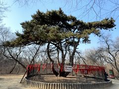 -北陵公园