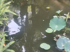 -大妙火锅·非物质文化遗产(东湖公园店)