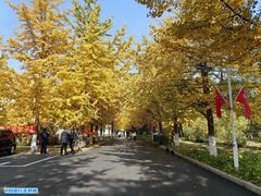 -辽东学院(南校区)