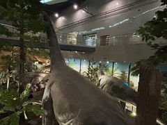 -湖南省地质博物馆