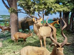 -国家自然博物馆