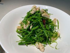 辣木苗拌桃仁-悦融琥珀·京鲁菜·海味珍品(西单店)