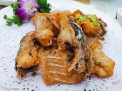 -寻味顺德·南记酒家·传统顺德菜·鱼生(广源路店)